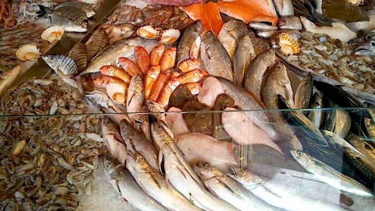 Ciampino. Migliora la qualità del pesce in vendita presso i mercati giornalieri e settimanali dopo i controlli di Capitaneria di porto e Polizia Locale.