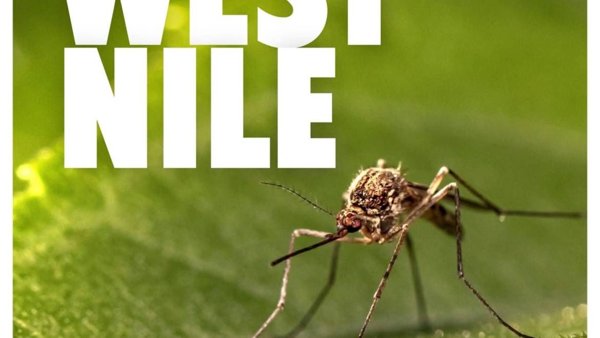 Emergenza WEST NILE