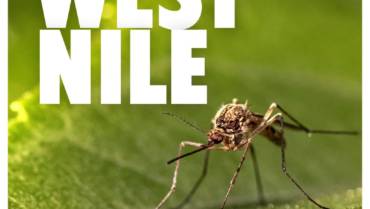 Emergenza WEST NILE